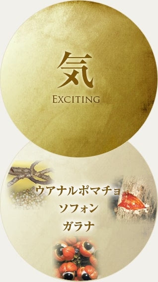 寶仙堂 淒十 Max Energy 50ml
