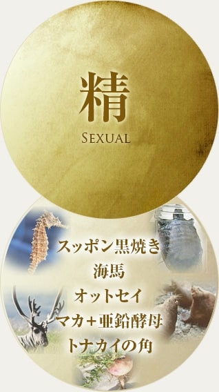 寶仙堂 淒十 Max Energy 50ml
