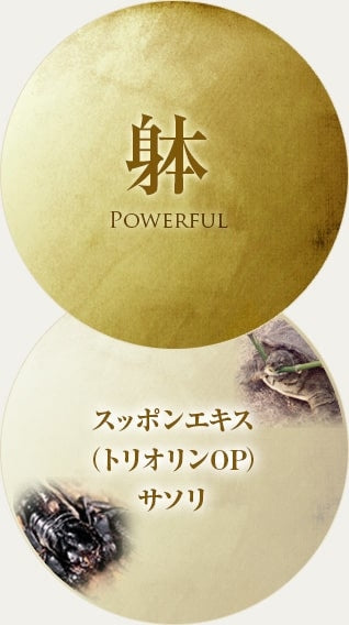 寶仙堂 淒十 Max Energy 50ml